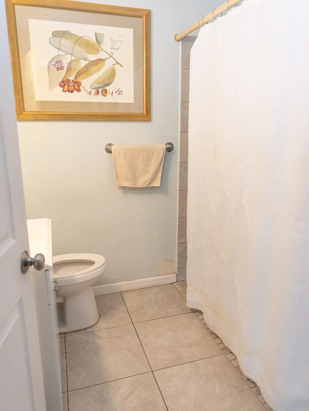Accessible bathroom with walk-in shower, toilet, towel bar, and framed botanical print in residential care facility